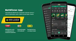 Assessing the Reliability of BetWinner A Comprehensive Guide